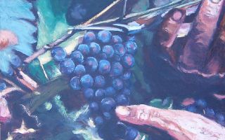 Viñedos